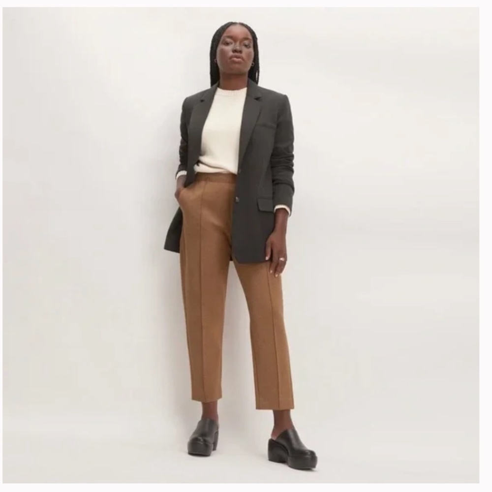 EUC Everlane The Dream Pant Heathered Auburn Size XL